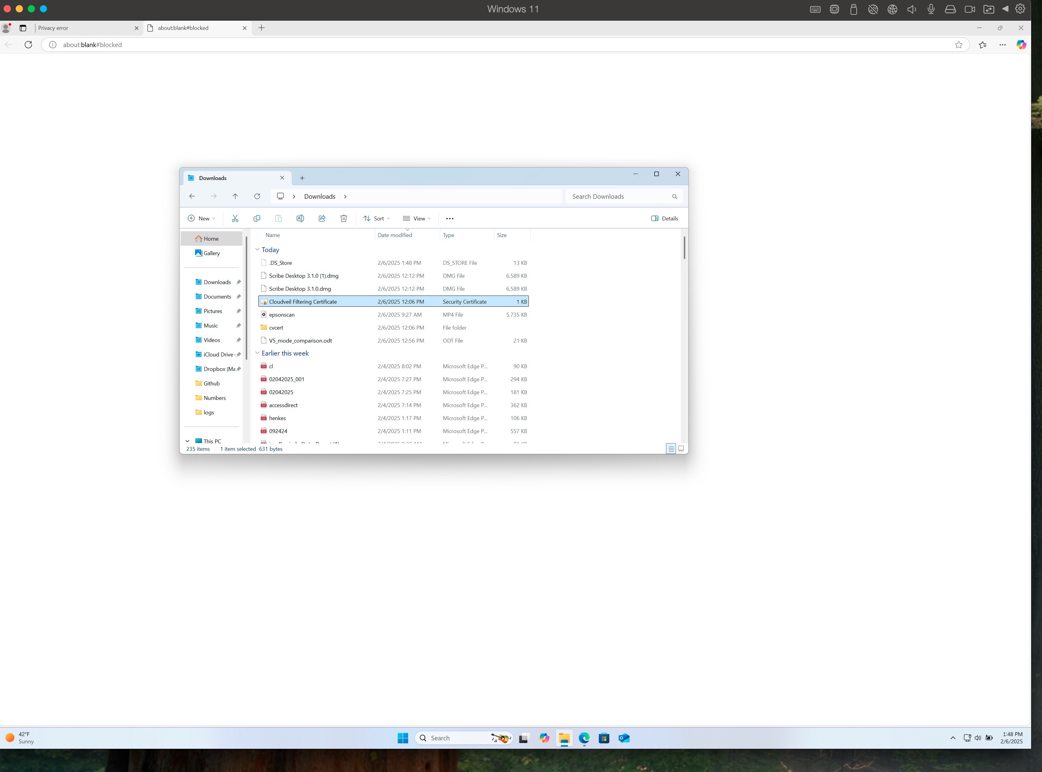 CloudVeil Filtering Certificate in the Windows Downloads folder