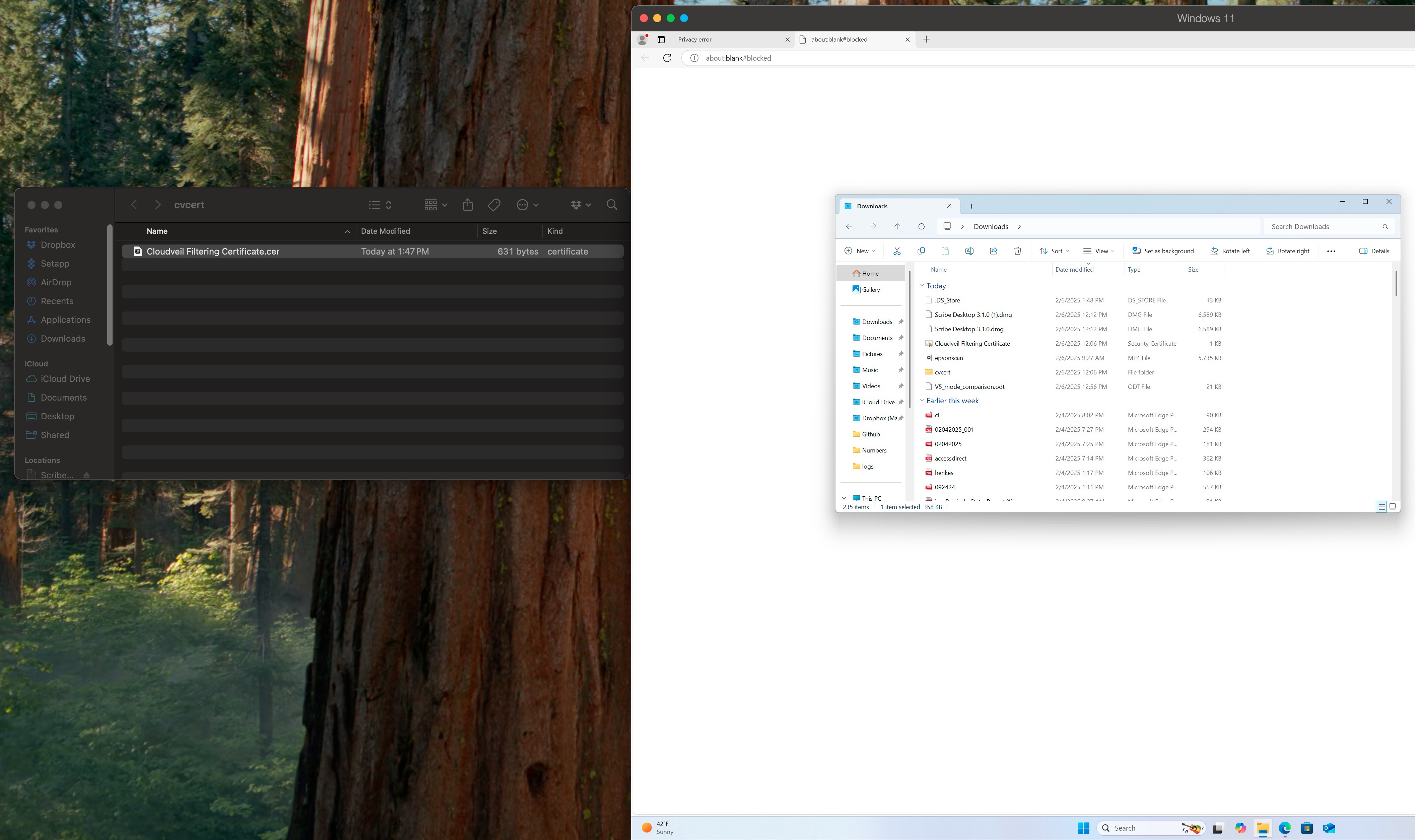 Dragging the certificate file into the Windows Downloads folder